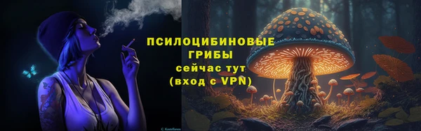 mdpv Верея