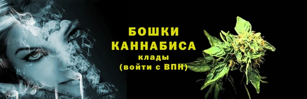тгк Кулебаки