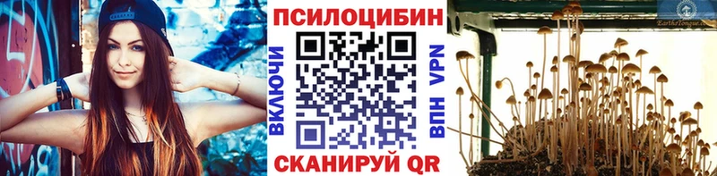 Галлюциногенные грибы мицелий darknet Telegram Суздаль