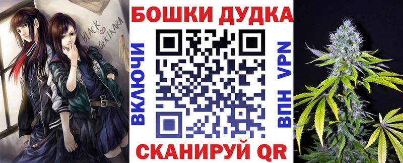 Бошки марихуана OG Kush  где можно купить наркотик  мега tor  Суздаль 